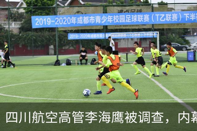 四川航空高管李海鹰被调查，内幕大揭秘